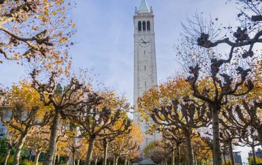 Most Dangerous Neighborhoods in Berkeley