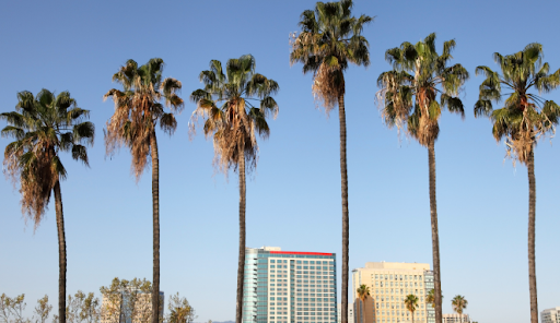 Most Dangerous Neighborhoods in San Jose